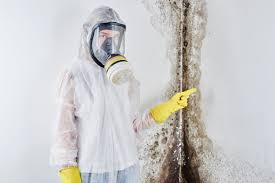 Trusted St Marys, PA Mold Remediation Experts